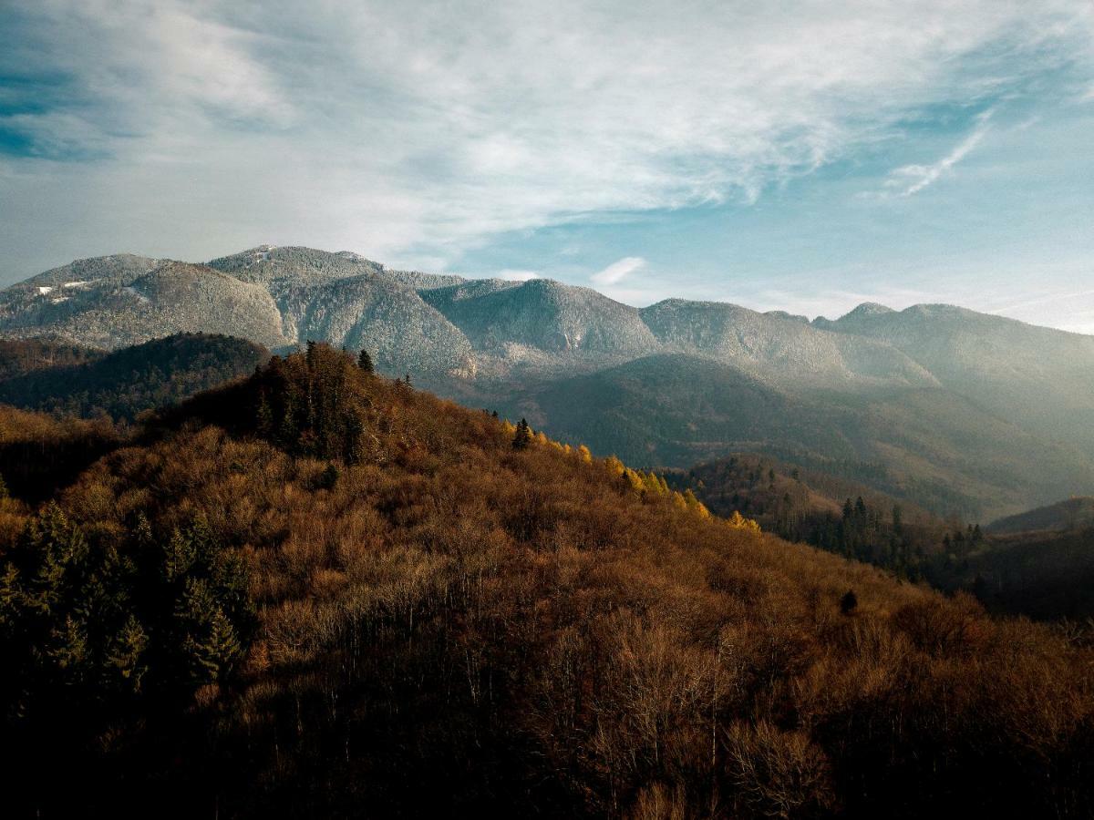 Villa House Of Seasons Bran (Brasov)